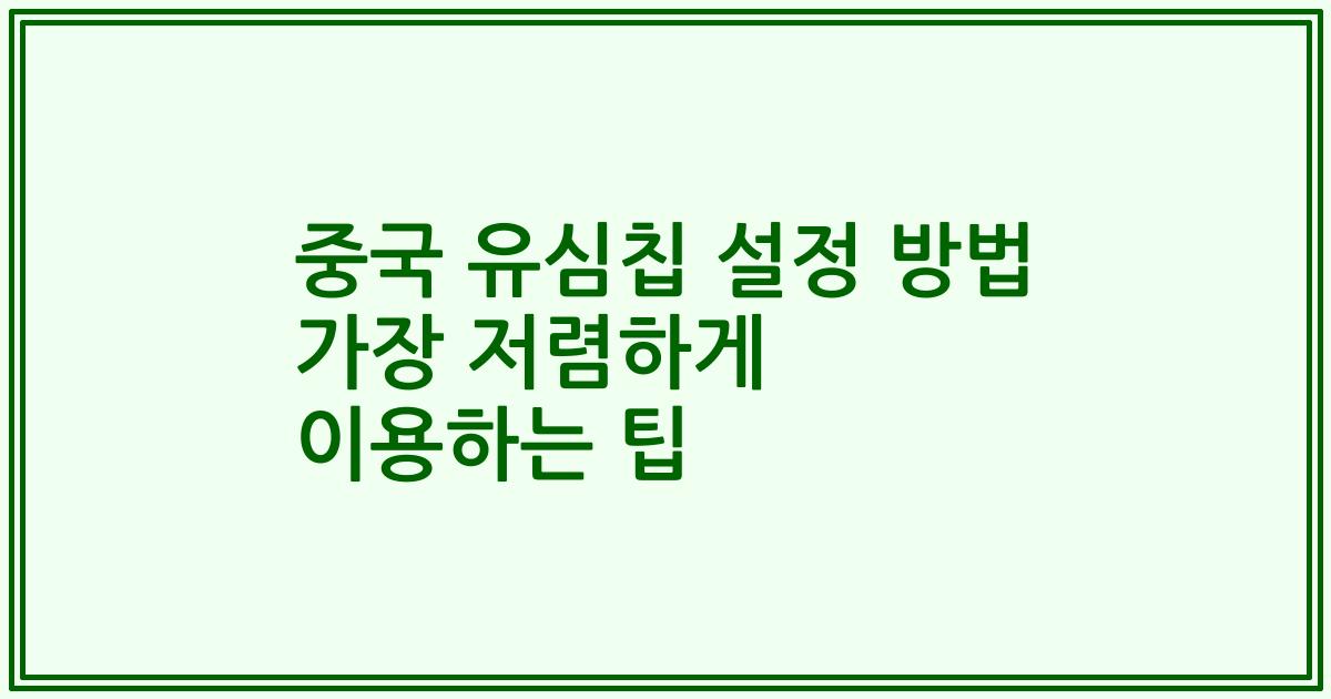 중국 유심칩 설정 방법 가장 저렴하게 이용하는 팁